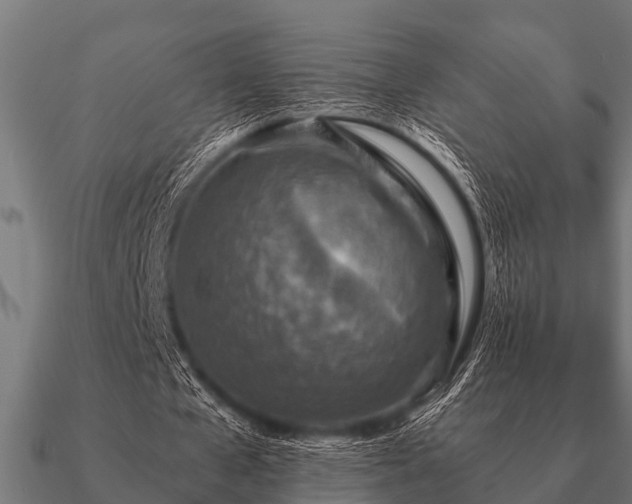 X0000090900577200708061506