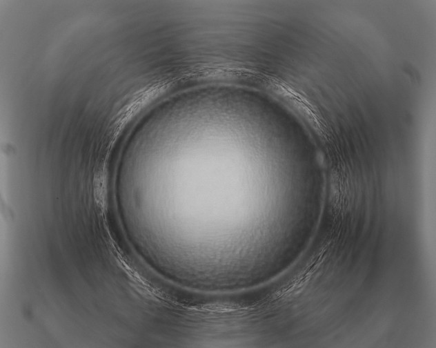 X0000090900578200708061506