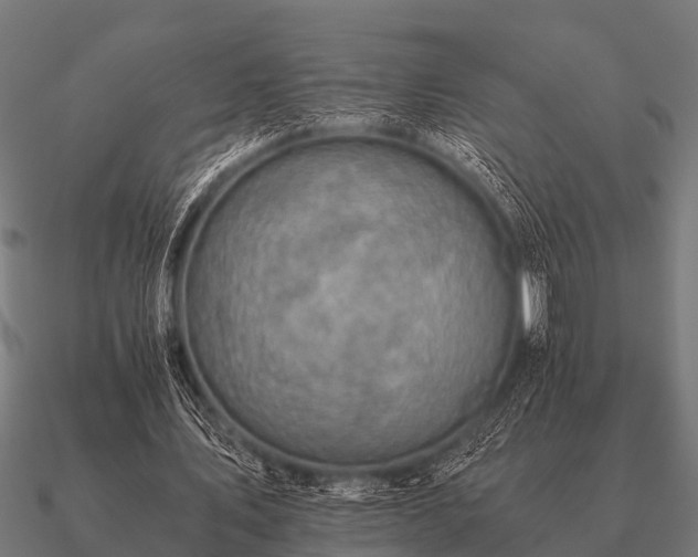 X0000090900579200708061506