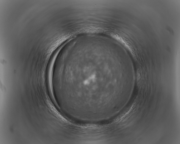 X0000090900581200708061506