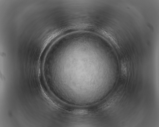 X0000090900582200708061506