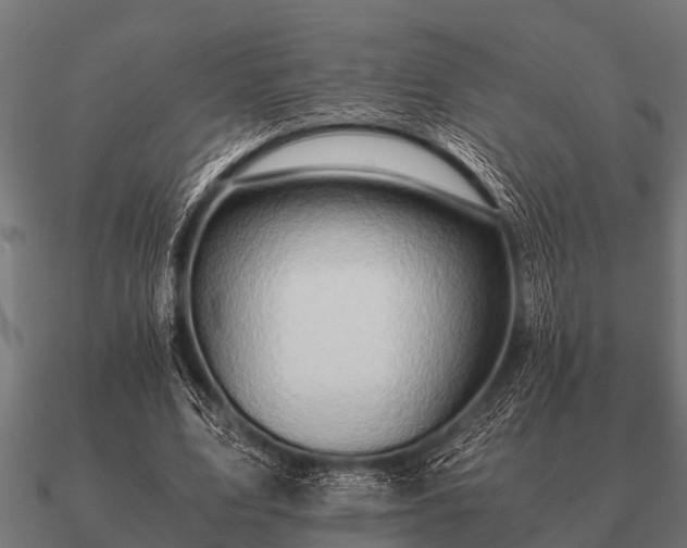 X0000090900583200708061505