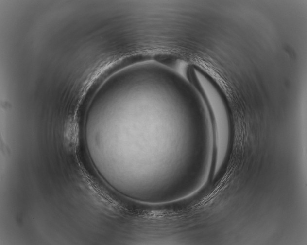 X0000090900584200708061505