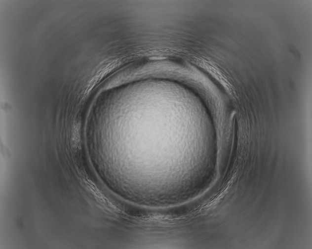 X0000090900585200708061505