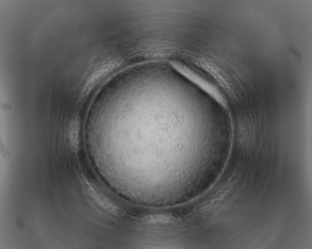 X0000090900586200708061505