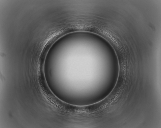 X0000090900587200708061505