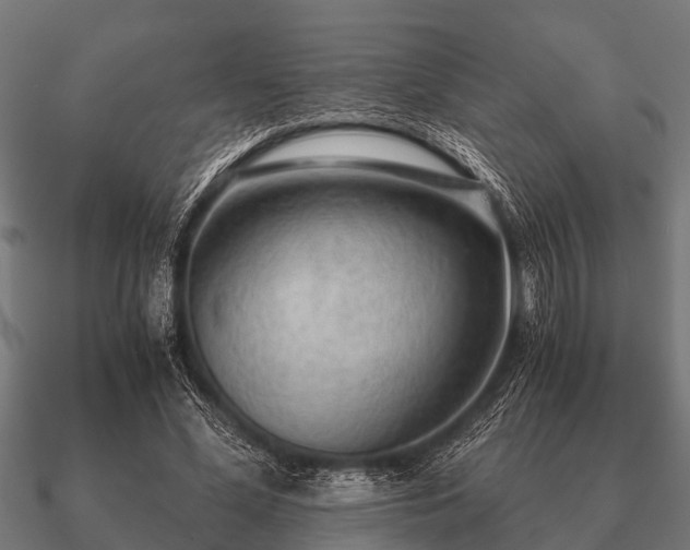 X0000090900588200708061505