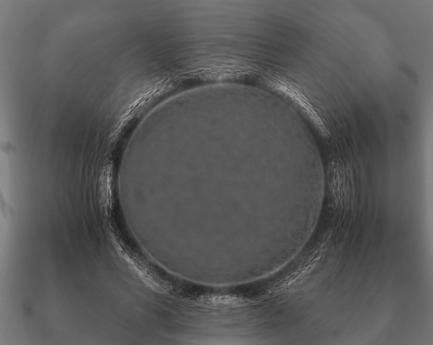 X0000090900590200708061505