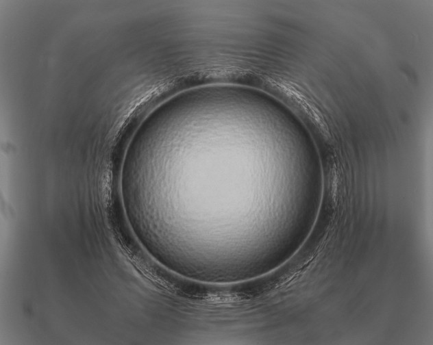 X0000090900591200708061505