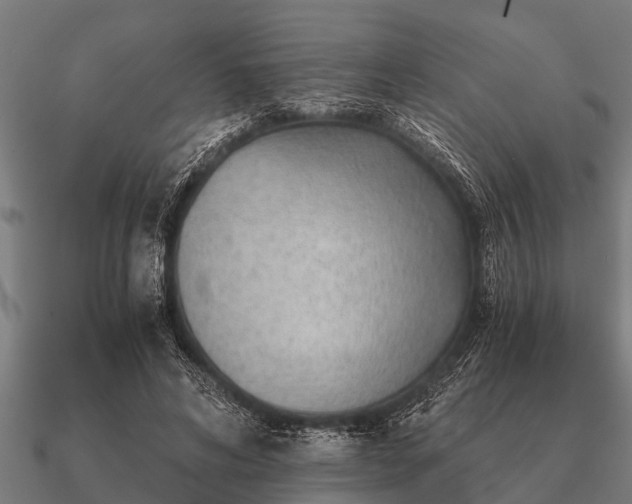 X0000090900592200708061505