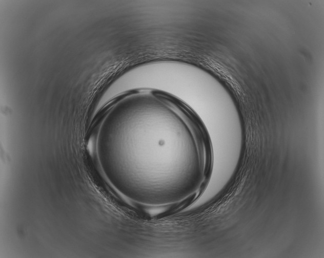 X0000090900593200708061505