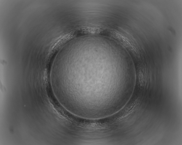 X0000090900594200708061505