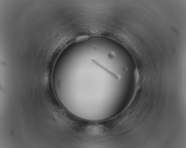 X0000090900595200708061505