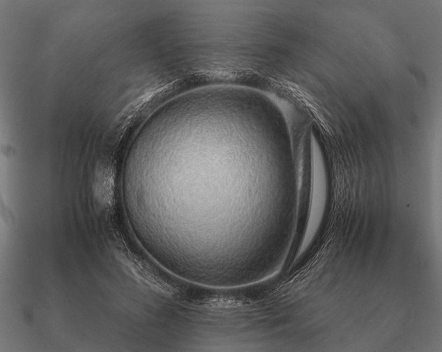 X0000090900596200708061505