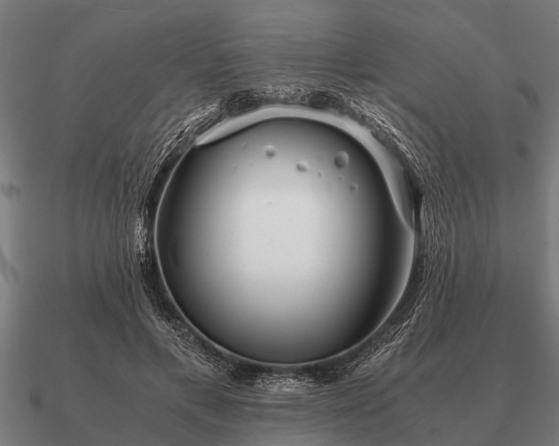 X0000090900597200708061505