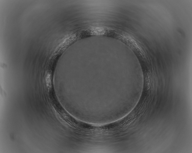 X0000090900598200708061505