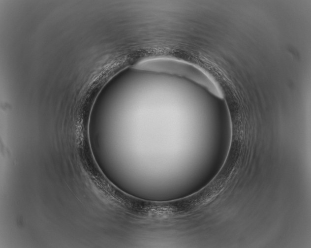 X0000090900599200708061505