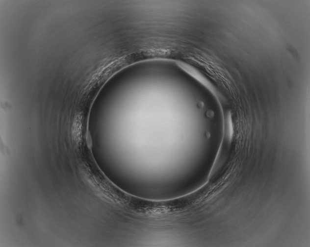 X0000090900600200708061505