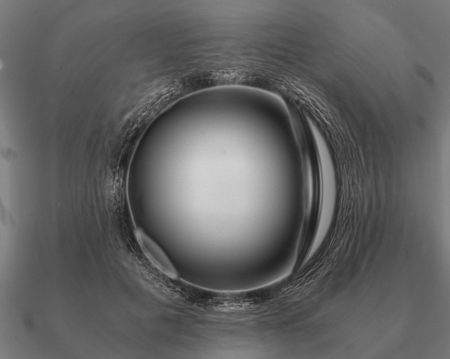 X0000090900601200708061505