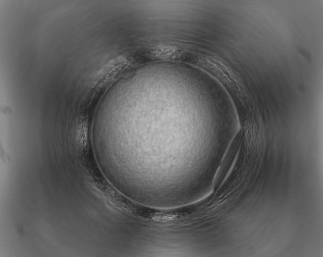 X0000090900602200708061505