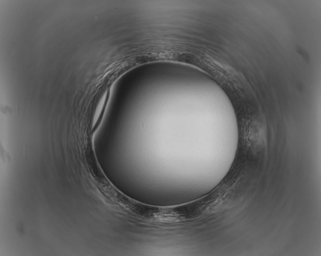 X0000090900603200708061505