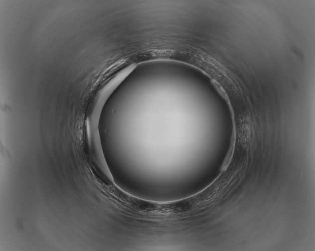 X0000090900604200708061505