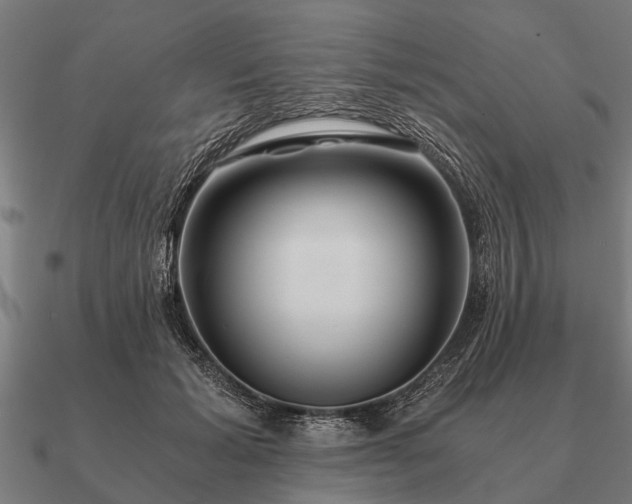 X0000090900605200708061505