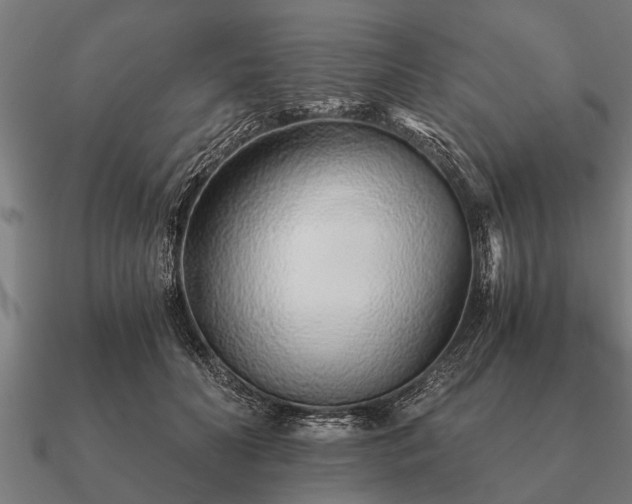 X0000090900606200708061505