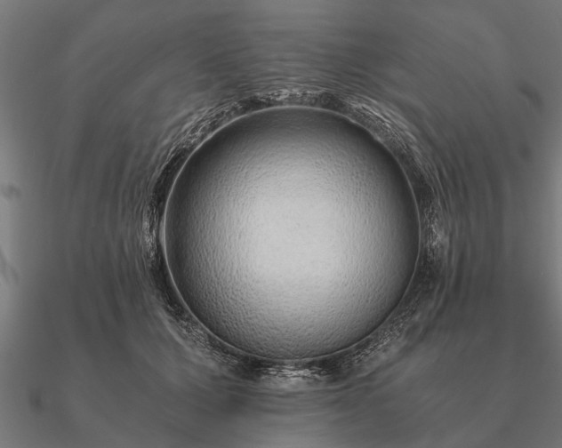 X0000090900607200708061505