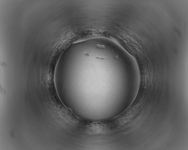 X0000090900608200708061505