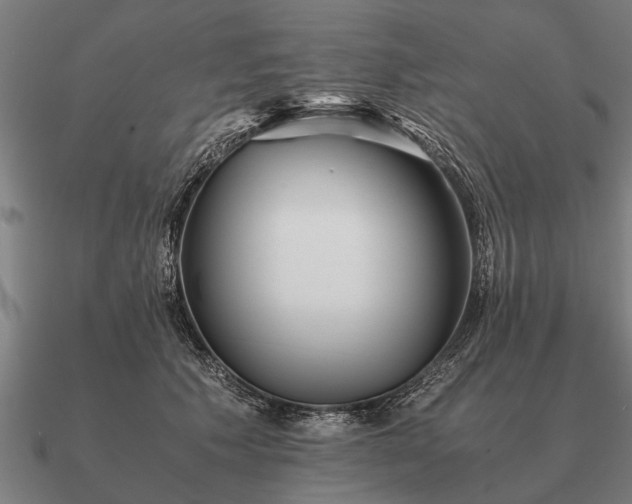 X0000090900609200708061505