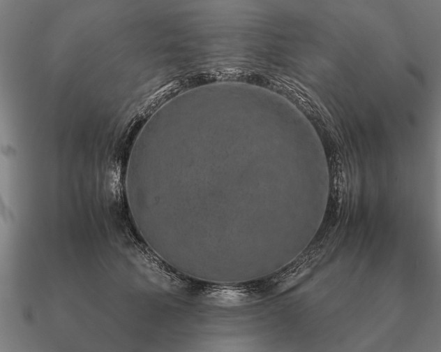 X0000090900610200708061505