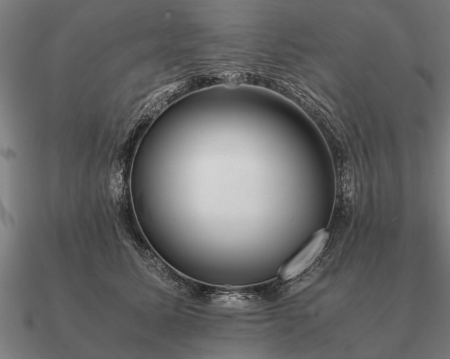 X0000090900611200708061505