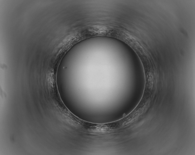 X0000090900612200708061505