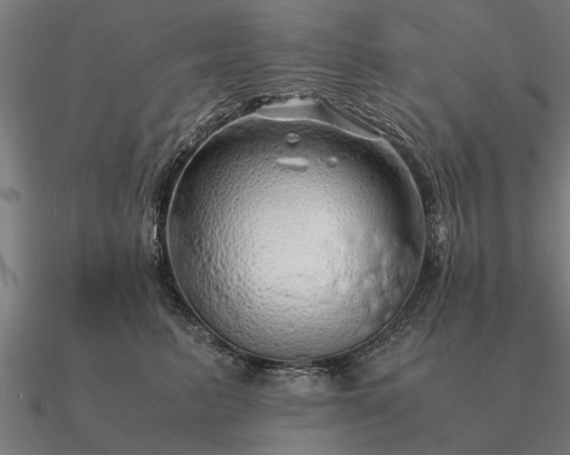 X0000090900615200708061505