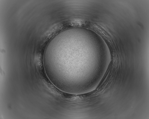 X0000090900616200708061505