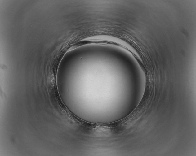 X0000090900617200708061505