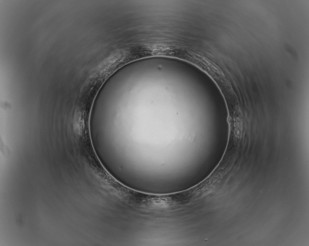 X0000090900618200708061505