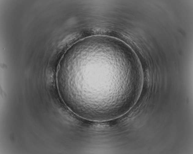 X0000090900619200708061505