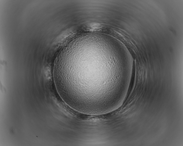 X0000090900620200708061505