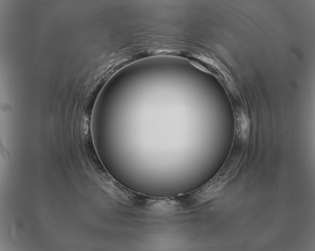 X0000090900621200708061505