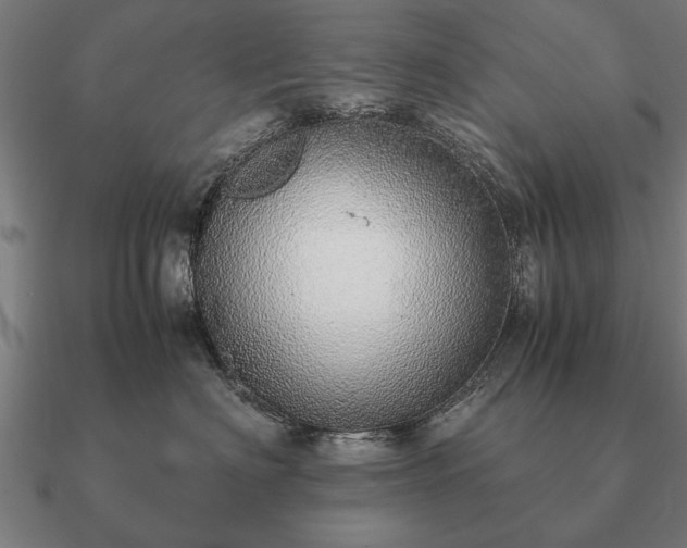 X0000090900622200708061505