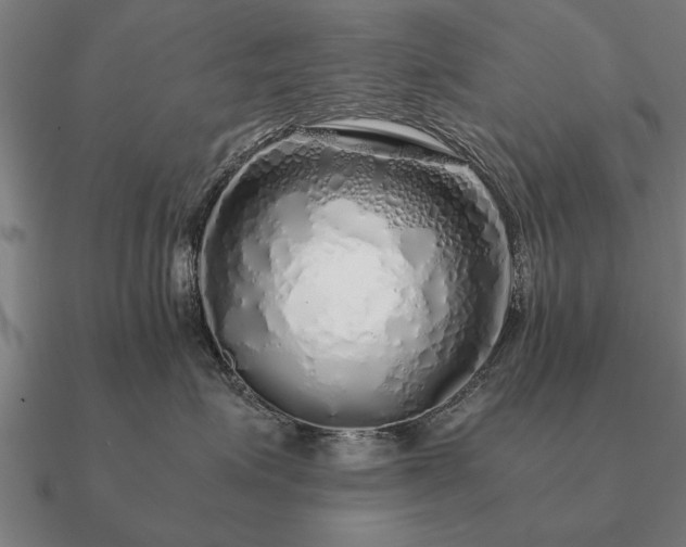 X0000090900623200708061505