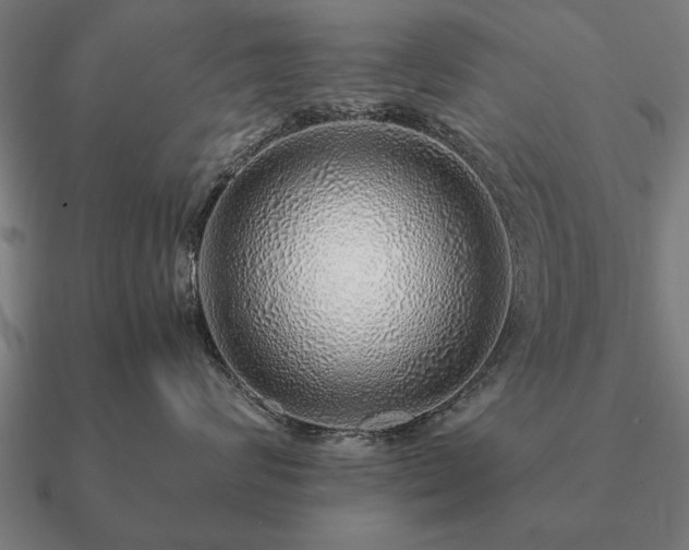 X0000090900624200708061505