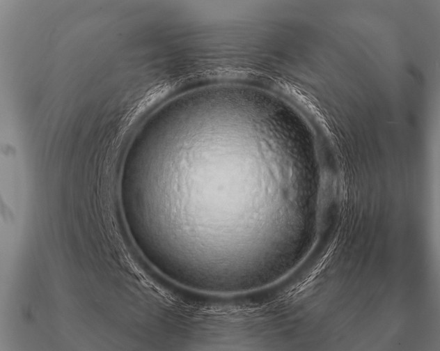 X0000090900625200708061504