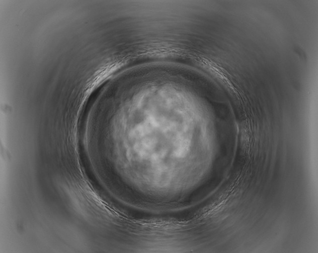 X0000090900626200708061504