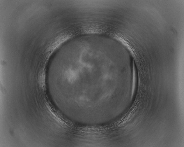 X0000090900627200708061504