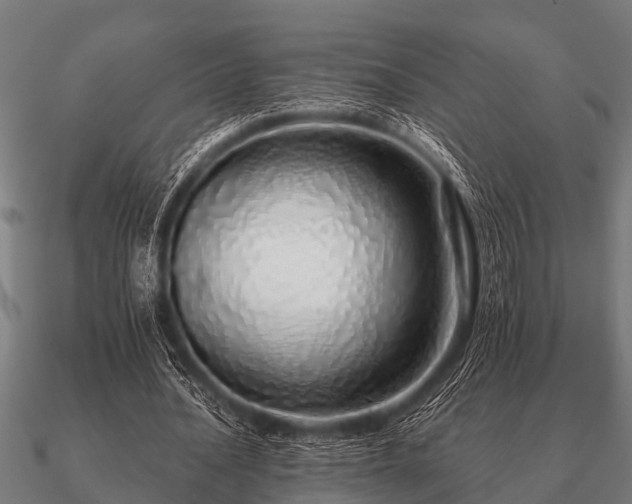 X0000090900628200708061504