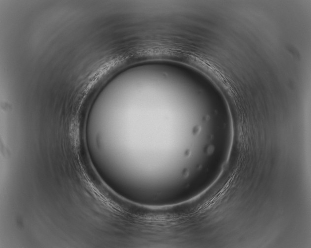 X0000090900629200708061505