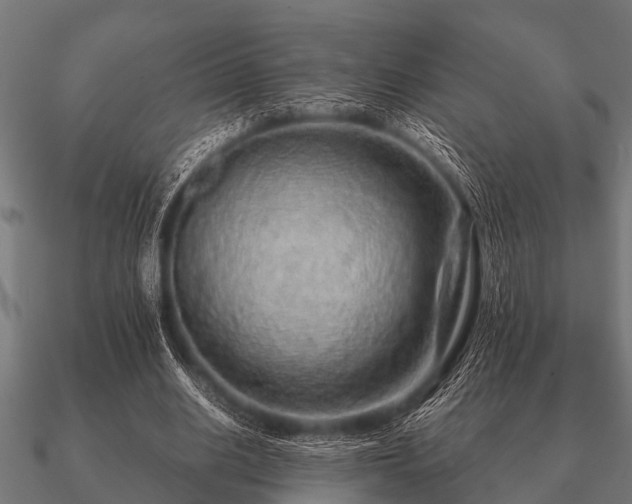 X0000090900630200708061505